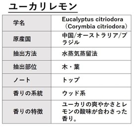 ASH Eucalyptus Lemon (Ciriodora) Essential Oil, 1.0 fl oz (30 ml), Aroma Oil, Certified Essential Oil