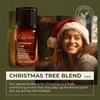 Gya Labs Christmas Tree Essential Oil Blend for Diffuser -