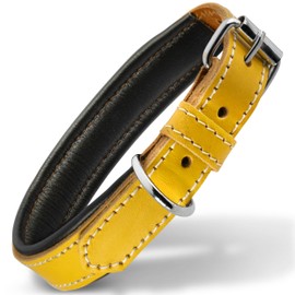 Filbert Leather Dog Collar, Genuine Leather Collar for Medium Dogs, Premium, Luxury Padded, Strong, Adjustable for All Breeds, Heavy Metal Buckle, Ultra-Durable, Yellow