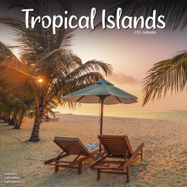 2025 Tropical Wall Calendar, 12X12, Avonside Publishing