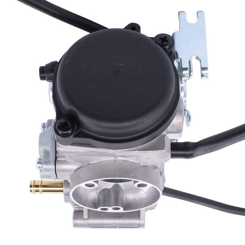ApplianPar Carburetor Carb for Suzuki GZ250 1999-2010