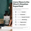 MycoMax Lion's Mane Extract - 70% Beta Glucans Healthcare