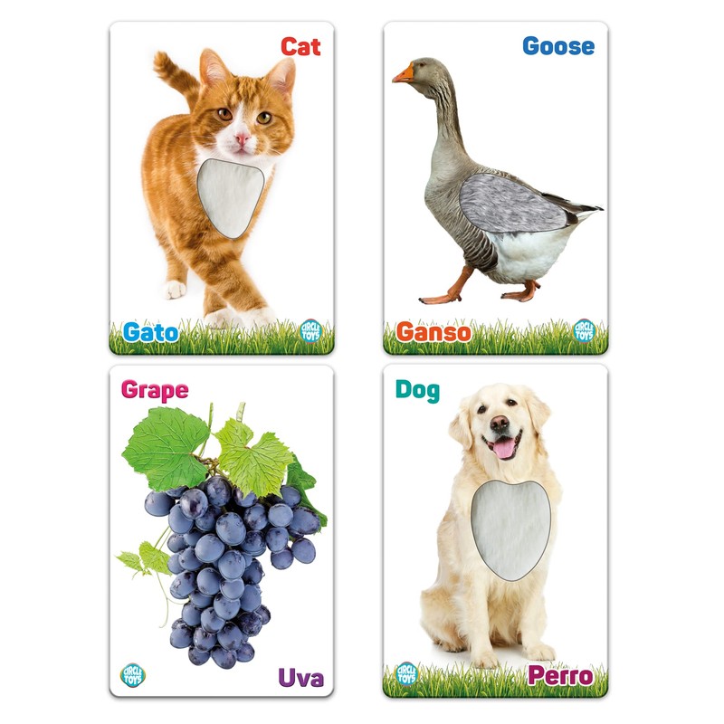 My Touch and Feel English Spanish Bilingual Picture Double Sided