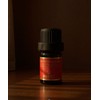Dionel Dioneal Secret Love Romantic Rose 5ml