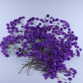 LYFORTZY 50 Branches Purple Pressed Flowers Bulk Dried Flower Kit for Resin , Dried Babys Breath Flower Natural with Tweezer for Crafts Christmas DIY Gift Scrapbooking Photo Props.