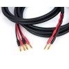 Canare 4S11 Star Quad 11 AWG BiWire Speaker Cable 1