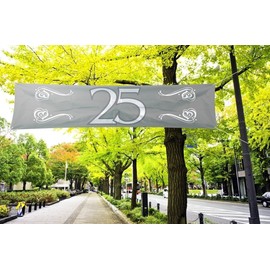 Folat 21482 25th Birthday/Anniversary Banner Silver-180x40 cm, Silver