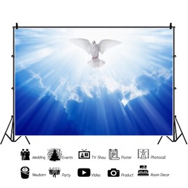OERJU 6x4ft Jesus Christ Backdrop Holy Peace Dove Heaven Dazzling Sunshine Sky Cloud Photography Background Baby Shower Baptism Church Event Party Decoration Banner Photo Studio Props