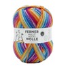 Ferner Mally Socks Wool with Merino Wool, Sock Wool Rainbow