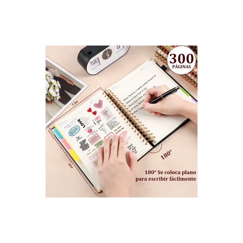 Cuaderno Profesional Libreta Universitaria 5 Color 300 Hojas
