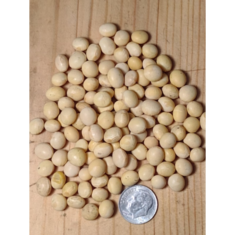 Organic Soybeans- nonGMO, 5 lbs., Farmer Direct, Identity Preseved, Dry