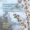 Melora Raw Manuka Honey from New Zealand | UMF 8+