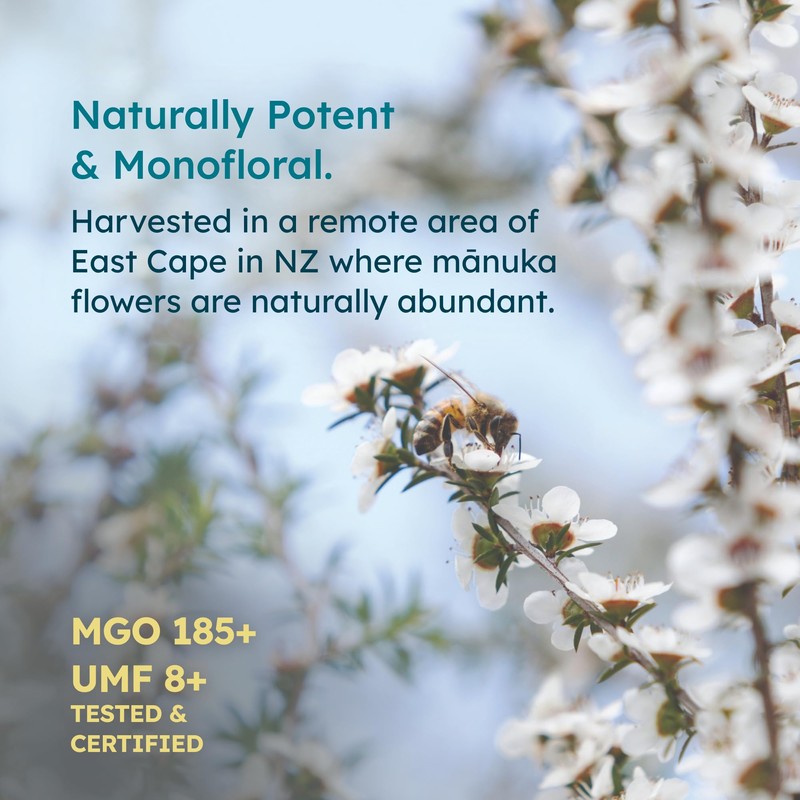 Melora Raw Manuka Honey from New Zealand | UMF 8+