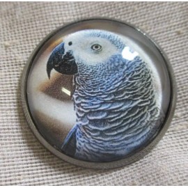 GLASS DOME PICTURE BUTTON OF A HANDSOME AFRICAN GRAY PARROT   1 inch 25mm