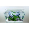 SereneSun 18" RGB+W Freshwater Aquarium Terrarium Reptile LED Light with