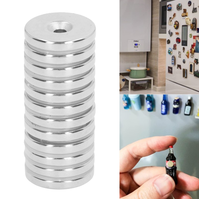 12 Pcs Neodymium Magnet 30x5mm Heavy Duty Strong Magnetism Round