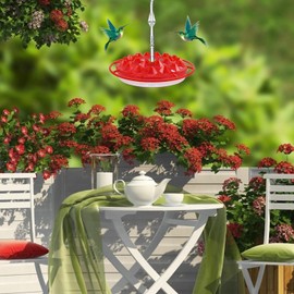 SHZLZY Comedero de Colibríes, Bebedero Natural para Colibríes, Comedero con Percha, Colgante para Colibríes de Exterior, Viene con Un Diseño a Prueba de Hormigas (Rojo)