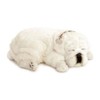 Precious Petzzz - White Bulldog