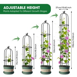 2 Pcs Garden Trellis for Climbing Plants, 6.2 Ft Rustproof Metal Pipe with Heavy Duty Plastic Coated, Garden Outdoor Indoor Potted Plant Support, Obelisk Garden Trellis for Climbing Vine