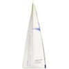 Scar Esthetique Scar Creme with Silicome Polypeptides and 10 Anti-Oxidants,