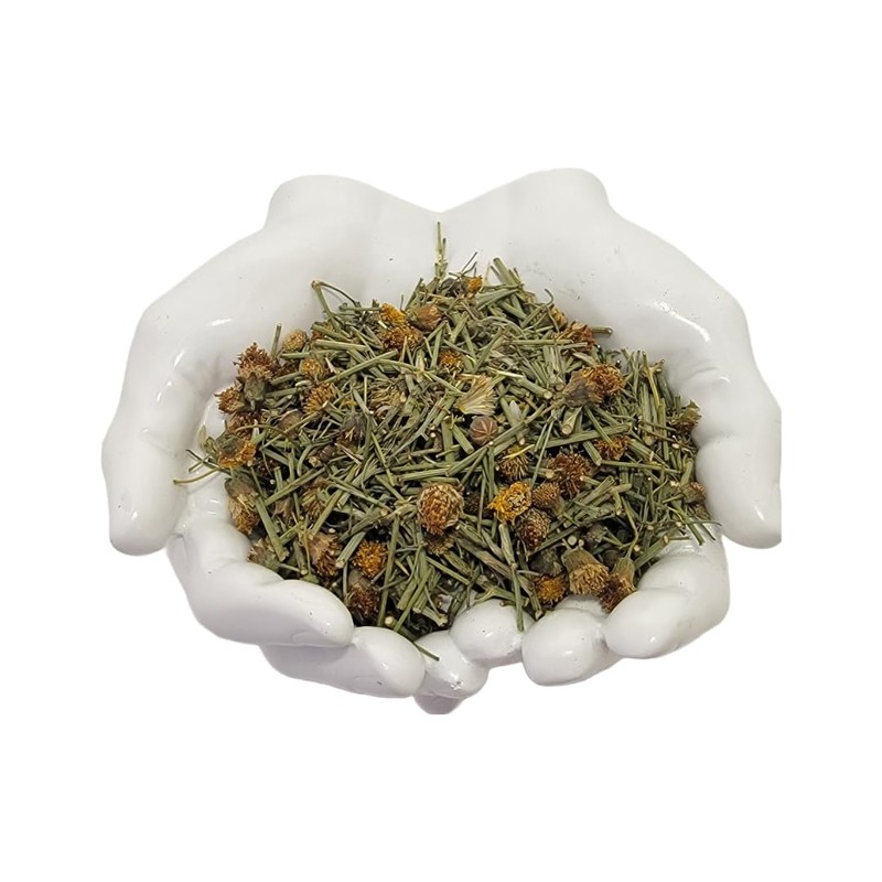 Navajo Tea with Spearmint in 1.5 oz (42 rams) tin