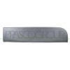 Protective strip door rear left black