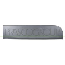 Protective strip door rear left black