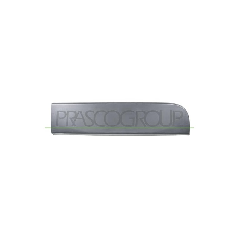 Protective strip door rear left black
