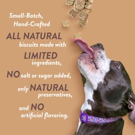 Spunky Pup Winter/Holiday Biscuits - Gingerbread Treats | Stocking Stuffers for Dogs | Gingerbread Dog Biscuits | For Small Medium Large Dogs | Christmas and Holiday Dog Treats | Seasonal Dog Biscuits