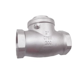 GUXGUY 2" Stainless Steel Check Valve, NPT Threaded Horizontal Check Valve Check valve to prevent backflow, check valve for water, oil and air, also available with compressor DN50