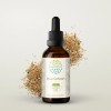 HerbEra Blue Cohosh Alcohol-FREE Tincture, (Caulophyllum Thalictroides) - 2 fl