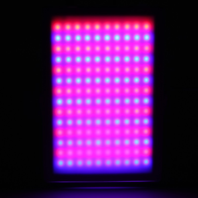 Photon Skin Rejuvenation Machine Red Blue Light Therapy Acne Removal