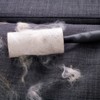 Awleynz Secret Money Safe Lint Roller, White and Grey, Hidden