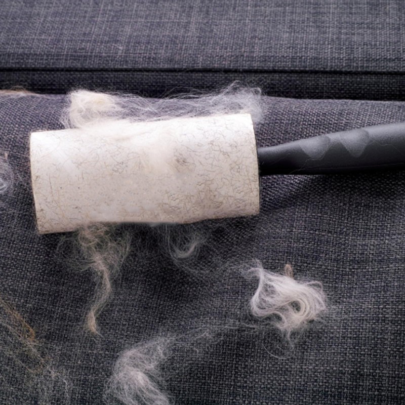 Awleynz Secret Money Safe Lint Roller, White and Grey, Hidden