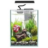 iPriro Ultra White Glass Betta Aquarium Starter Kits 1.5 Gallon