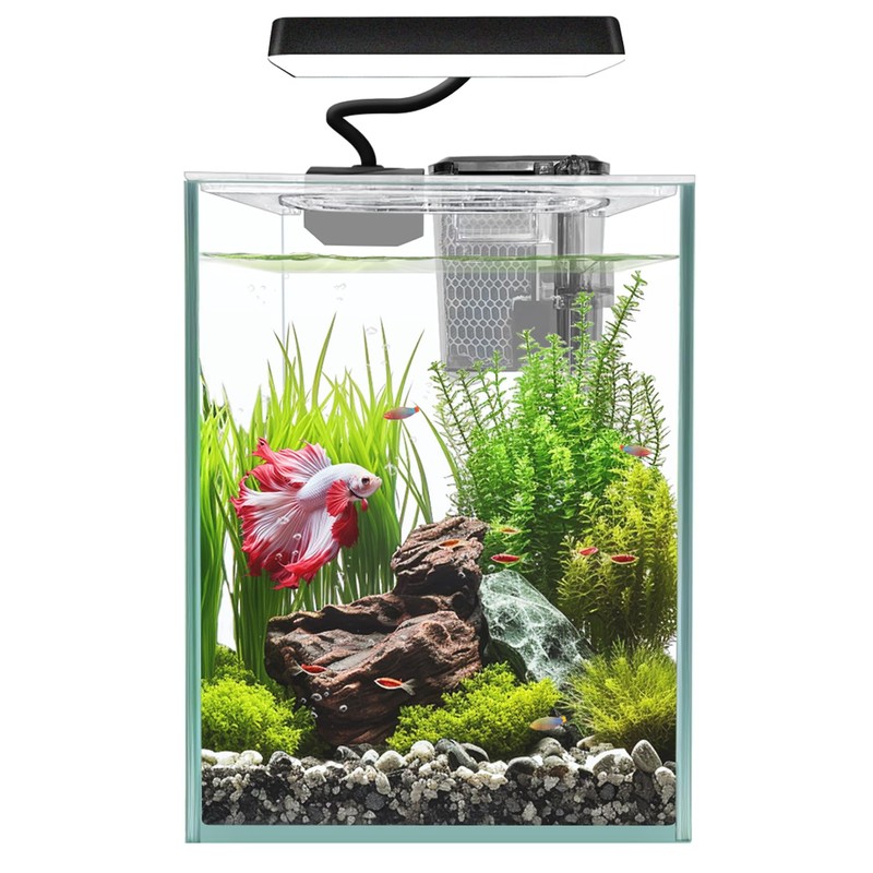 iPriro Ultra White Glass Betta Aquarium Starter Kits 1.5 Gallon