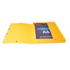 Exacompta 50300E Premium Collection Box Assembled with Elastic Band, 25