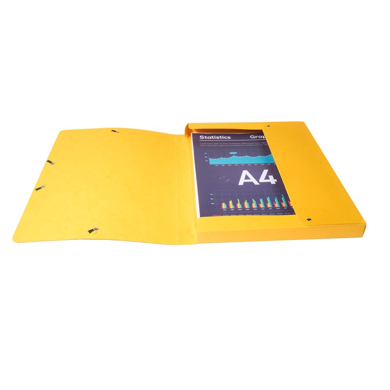 Exacompta 50300E Premium Collection Box Assembled with Elastic Band, 25