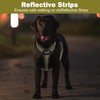 Tacwild No Pull Dog Harness - Adjustable Reflective Dog Vest