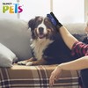 Fancy Pets Guante 2 en 1 Retira Pelo Muerto para