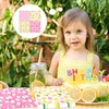 Pink Lemon Party Supplies,40Pcs Lemon Party Napkins Summer Fruit Party