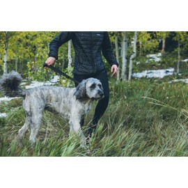 Candu Products 2 in 1 No Pull Slip Leash Collar