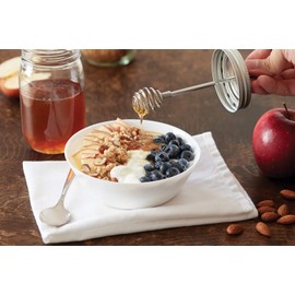 Jarware 82653 tapa de metal Mason Jar Honey Dipper, boca regular, acero inoxidable