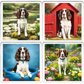 Springer Spaniel Dog Coaster Set. 4 different Springer Spaniel Dog Pictures on 10cm x 10cm Acrylic Coasters. Boxed Coaster Drip Mat Set.