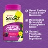 Senokot Dietary Supplement Laxative Gummies, Natural Senna Extract, Gentle, Overnight