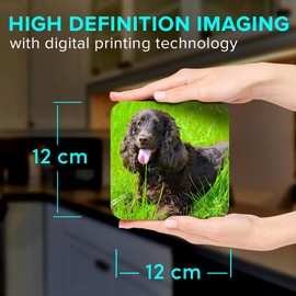 1 x Square Jumbo Size Coaster 12cm Irish Water Spaniel Dog Breed Puppy Cork Backed MDF Glossy Tea Coffee Accessory #51234