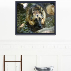 VNUIEHG Paint by Number for Adults Beginner German Shepherd's Cute Pet Dog Animal Crafts DIY Paint by Numbers Kits for Beginners 16x20 Inch