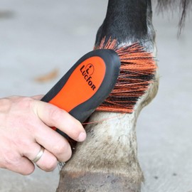 LUCFOR Root Brush Horse Long Brush | The Cuddly Brush as Mane Comb in Horse Accessories | Horse Brush Large Long Soft Bristles Orange Fur Shine Brush Horse | For Coarse Dust and Dirt