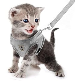 FEimaX Dog Harness and Leash Set for Walking, Soft Mesh Adjustable Easy Control Lightweight Cat Vest Harnesses with Reflective Strips, Escape Proof Small Dogs Cats Vests (Grey, X-Small)