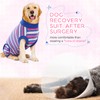 IDOMIK Dog Surgery Recovery Suit, Soft Comfortable Surgical Recovery Dog